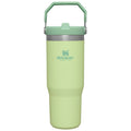 Stanley The IceFlow Flip Straw Tumbler | 30 oz, Citron