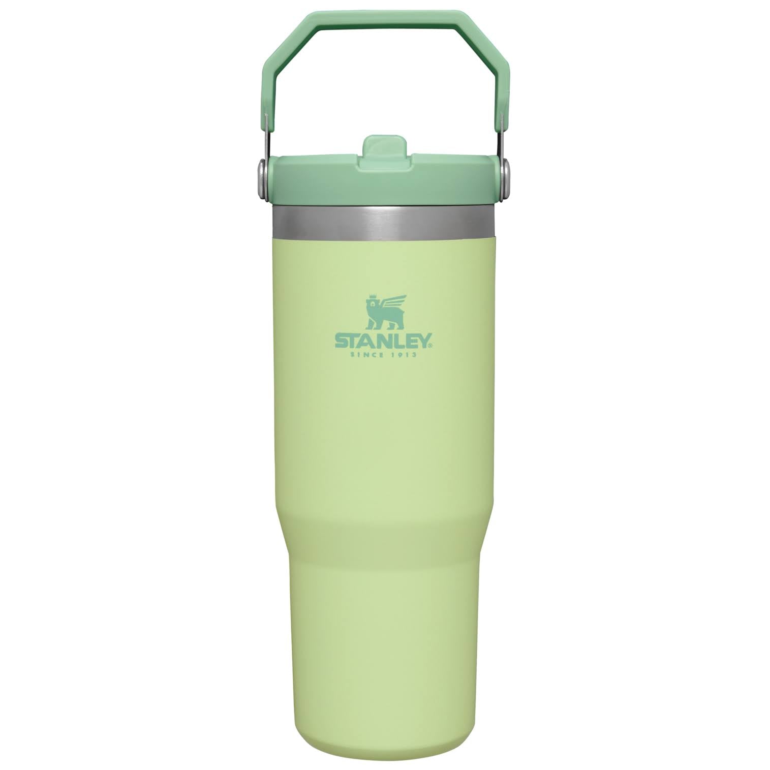 Stanley The IceFlow Flip Straw Tumbler | 30 oz, Citron