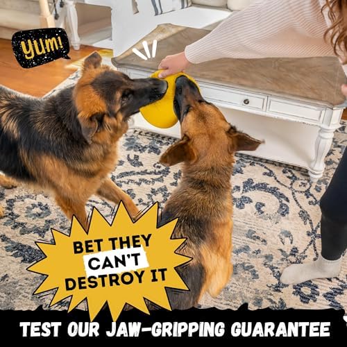 "Indestructible Dog Disc - Lifetime Replacement - Medium & Large Breed - Ultra Durable for Aggressive Chewers - Tough & Strong, Heavy Duty Natural Rubber Toy - Fetch, Tug, & Chew - 8in