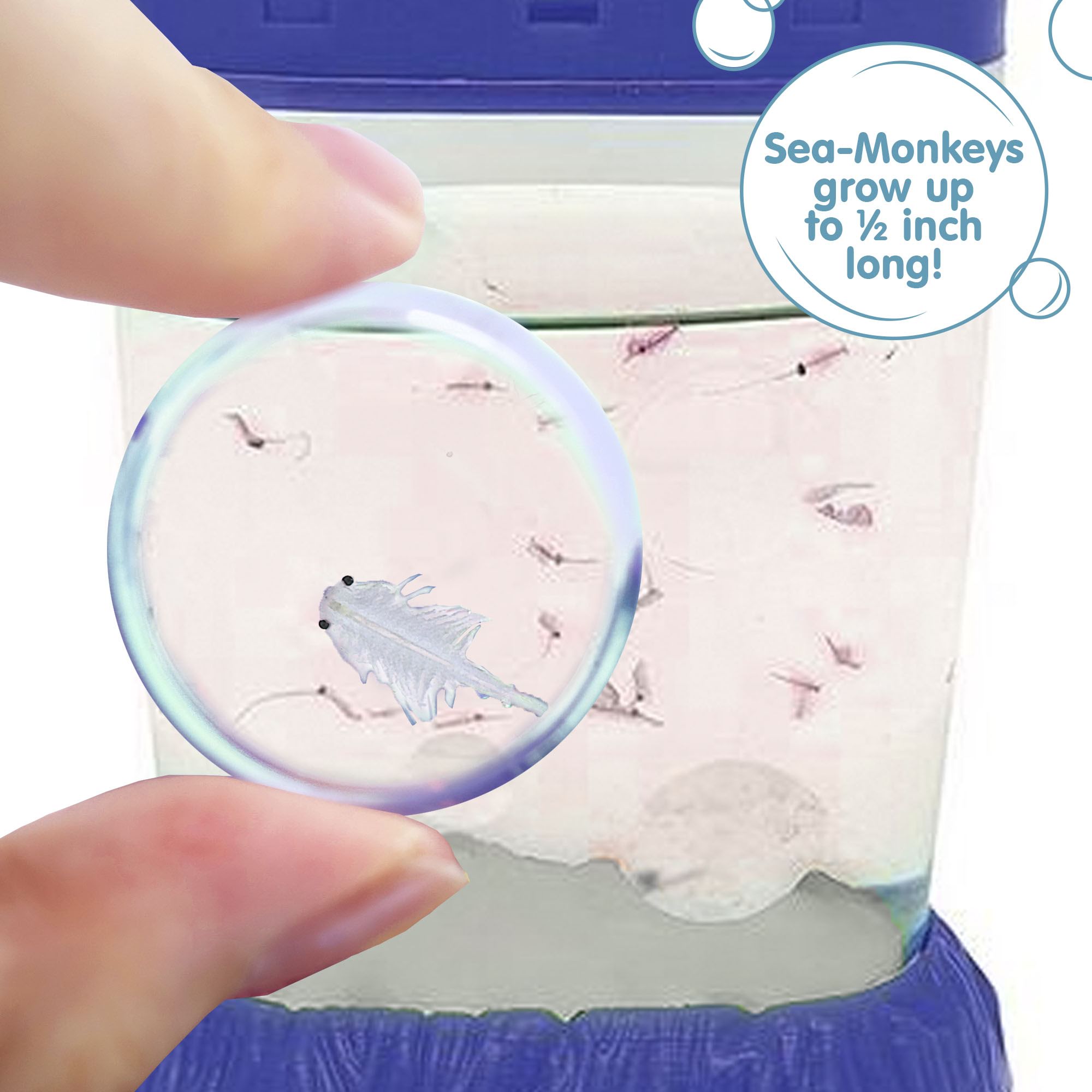 Sea-Monkeys Magiquarium
