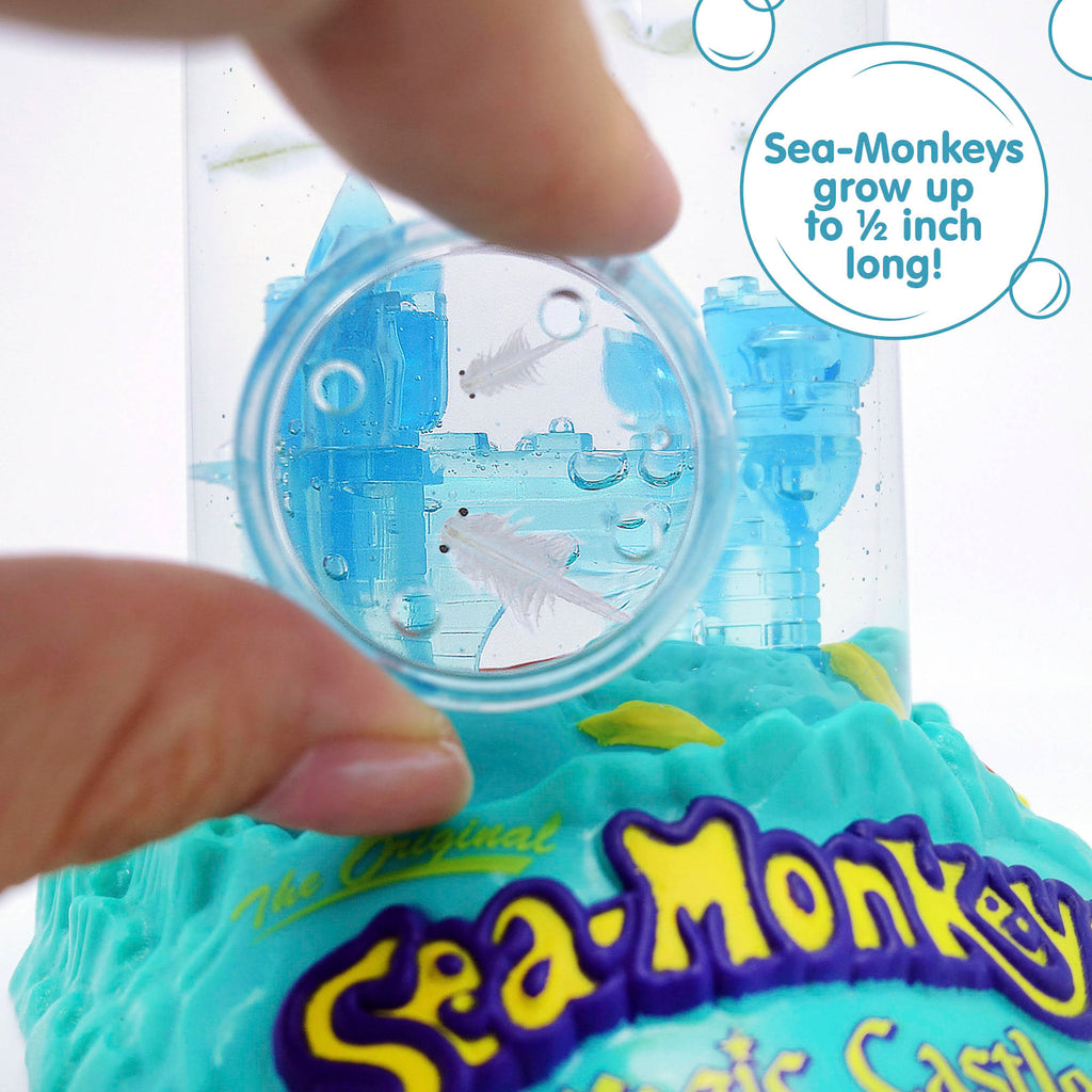 Sea-Monkeys Magic Castle