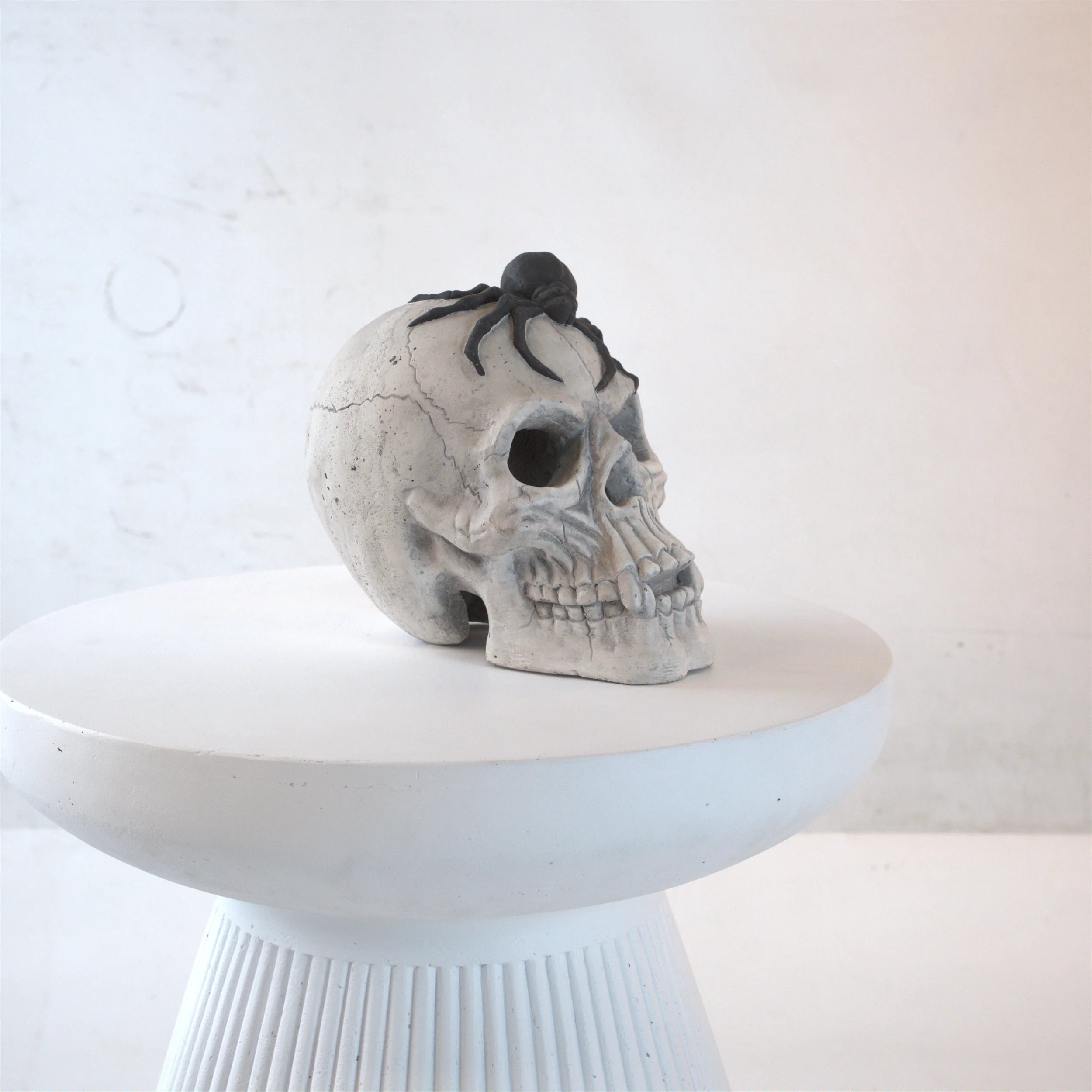 AECOJOY Demon Skull,Suitable for  Outdoor Fireplace and Fire Pit, Halloween Decoration