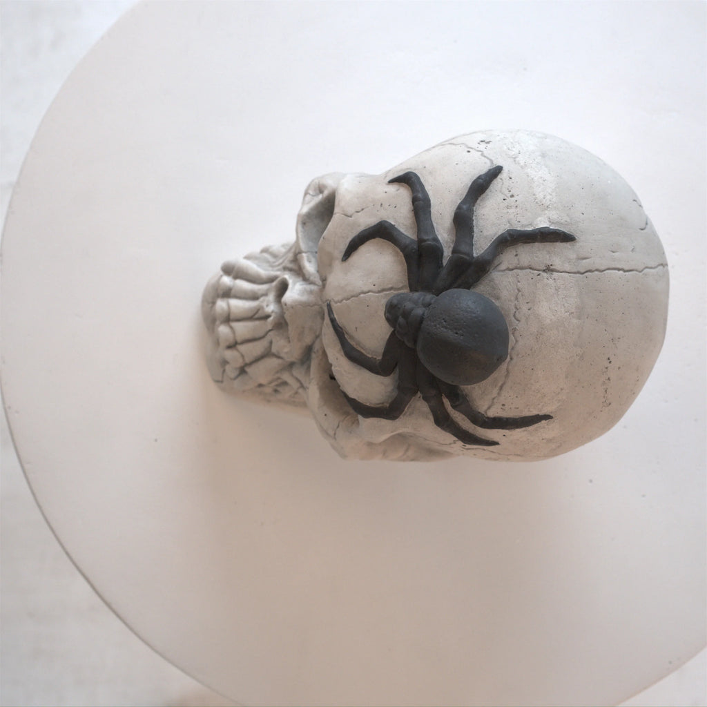 AECOJOY Demon Skull,Suitable for  Outdoor Fireplace and Fire Pit, Halloween Decoration