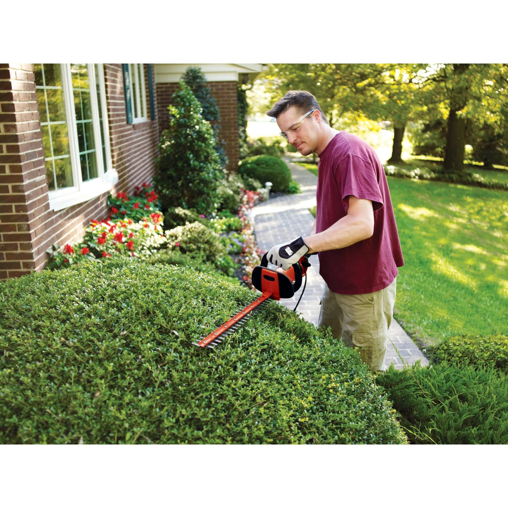 BLACK+DECKER HH2455 3.3 Amp Hedgehog 24" Hedge Trimmer with Rotating Handle