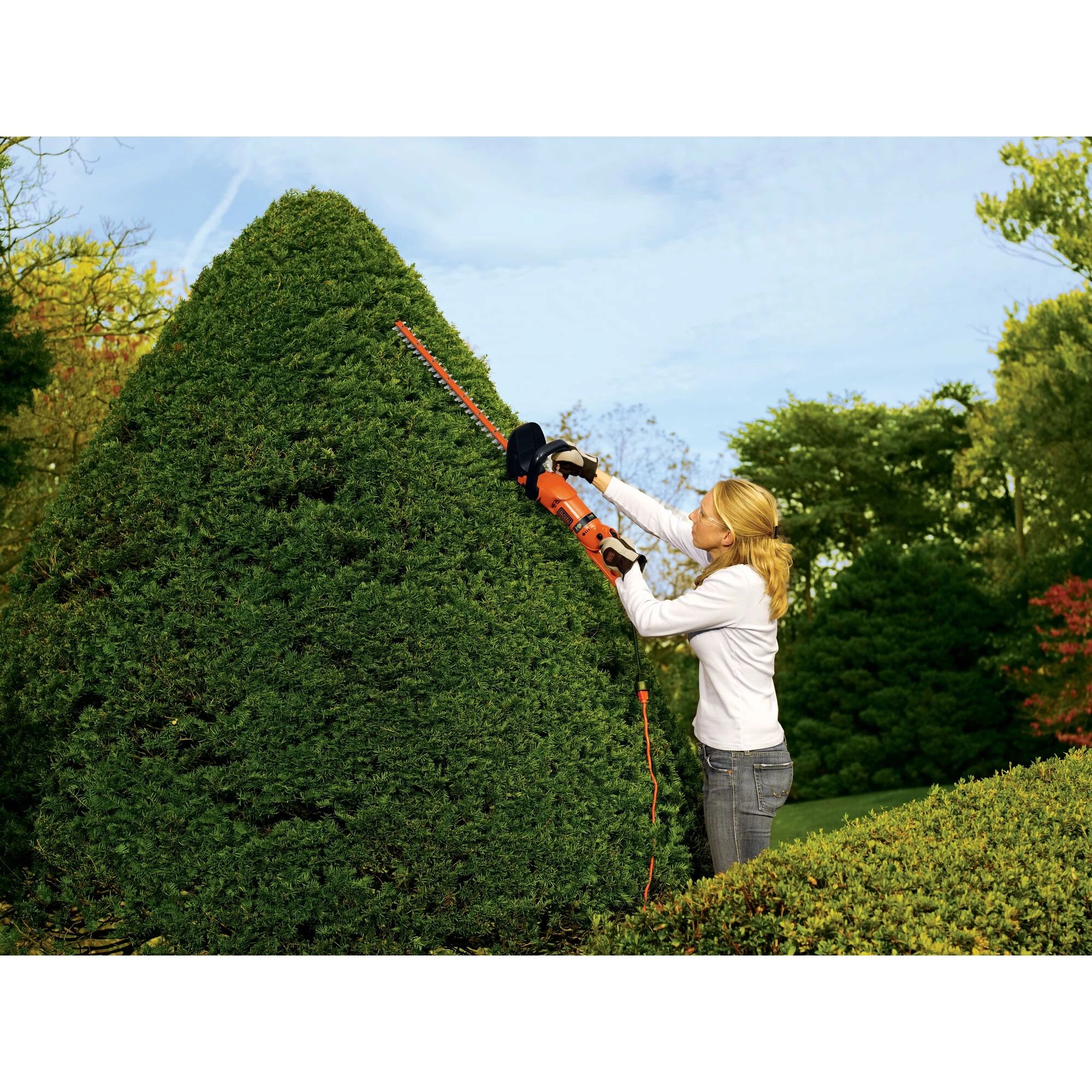 BLACK+DECKER HH2455 3.3 Amp Hedgehog 24" Hedge Trimmer with Rotating Handle