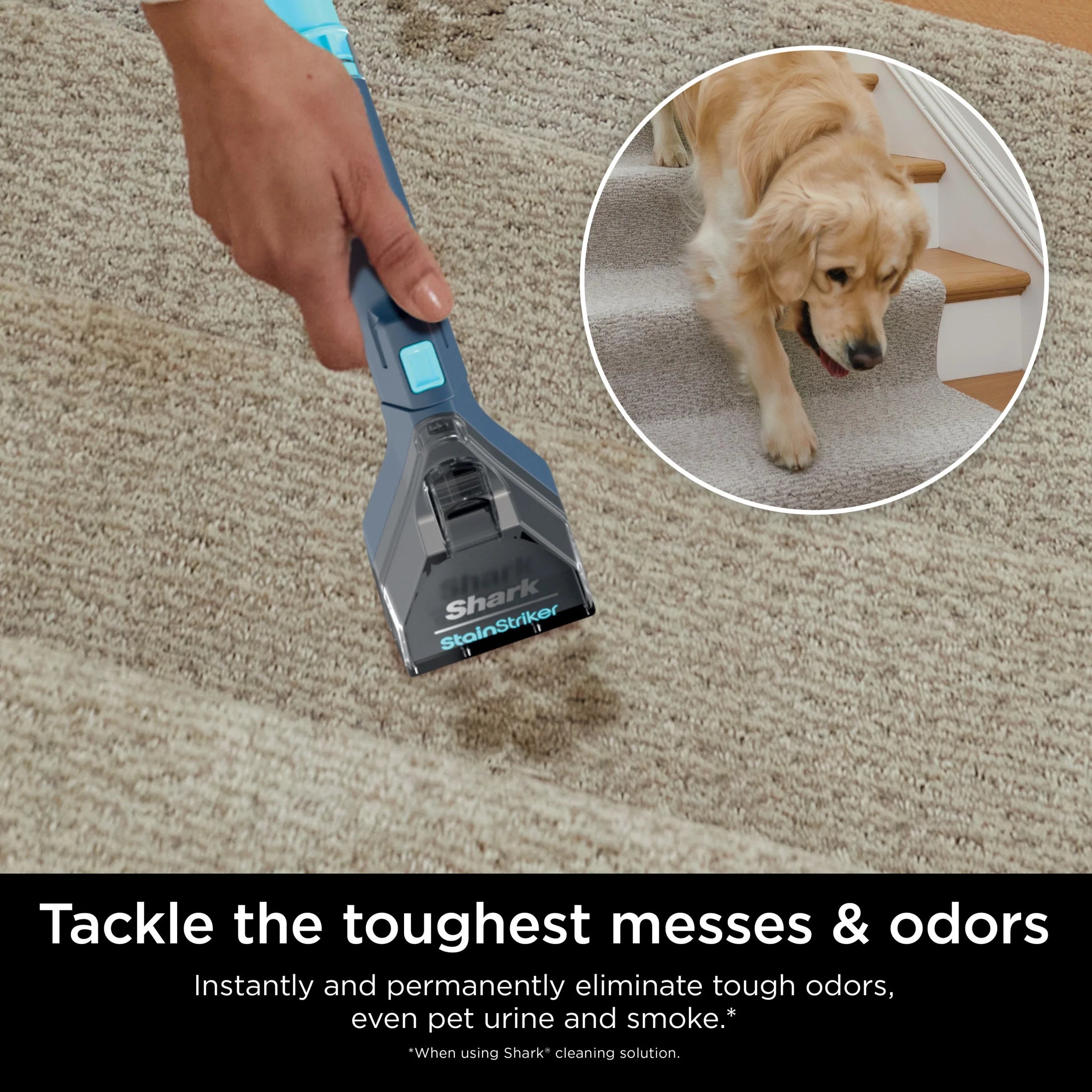 Shark Stainstriker Carpet and Upholstery Cleaner, Portable with 2 Tools, 6 oz Deep Clean Pro Formula and 12 oz OXY Multiplier Formula, PX200 Navy/White