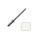 ScrooScoop Aluminum Pop/Blind Rivets #42D (#30 Drill), White, 100-Pack Bag