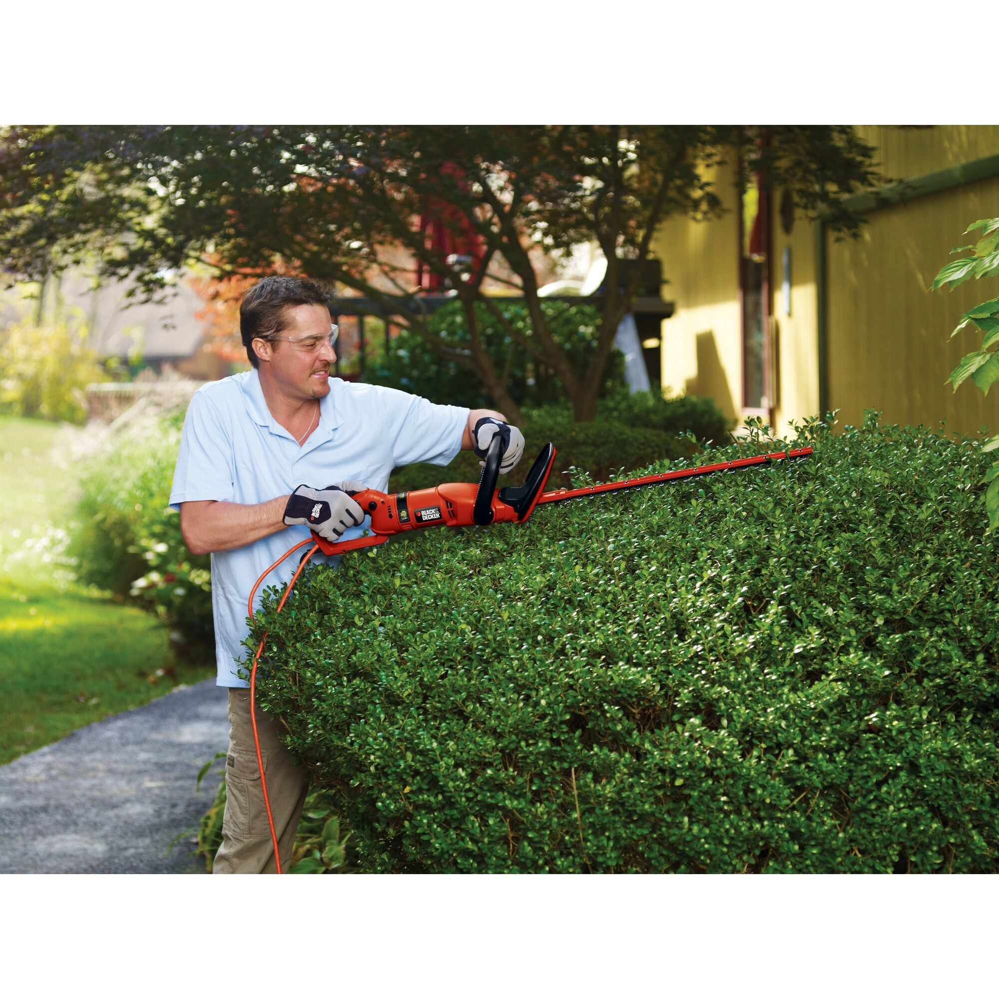 BLACK+DECKER HH2455 3.3 Amp Hedgehog 24" Hedge Trimmer with Rotating Handle