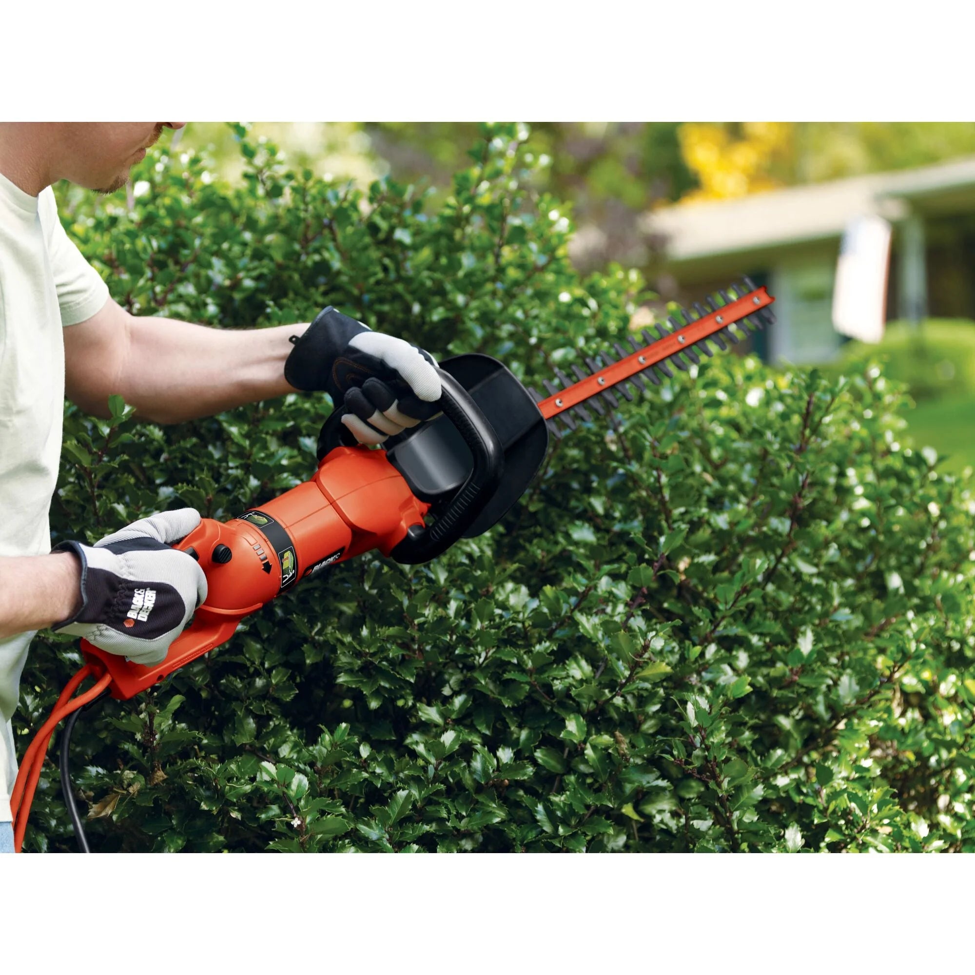 BLACK+DECKER HH2455 3.3 Amp Hedgehog 24" Hedge Trimmer with Rotating Handle