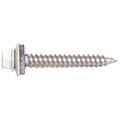 ScrooScoop 2 in Woodgrip White Self-Drilling Screws, 250/Bag (83SCWG20WH)
