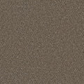 Durango Delight III Basin Creek Brown 54-oz sq yard Solution-dyed polyester Textured Indoor Carpet