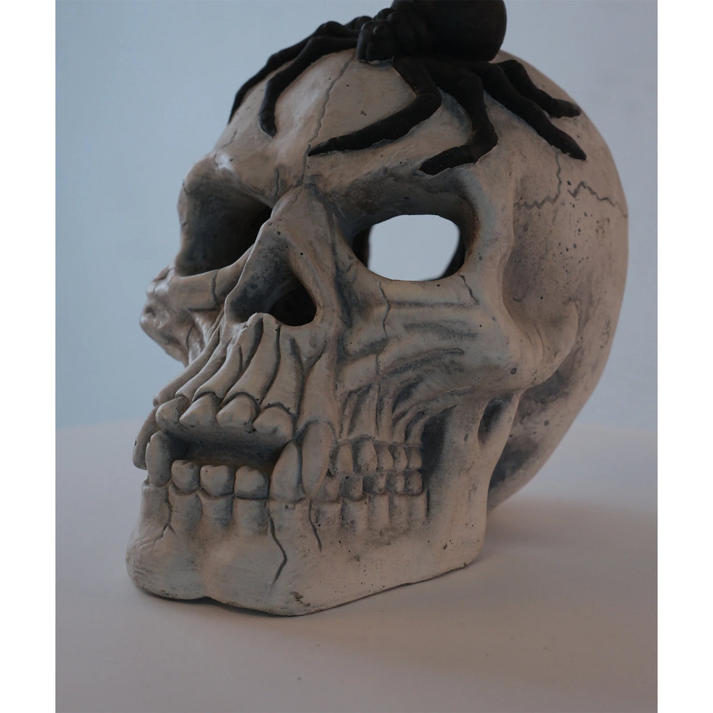 AECOJOY Demon Skull,Suitable for  Outdoor Fireplace and Fire Pit, Halloween Decoration