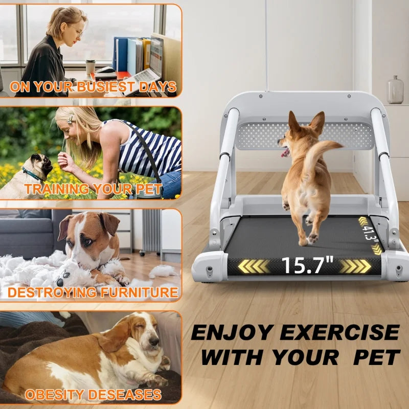 Witaxima 2025 New Quiet Smart Pet Treadmill, Adjustable Speed, Perfect for Small/Medium Dogs