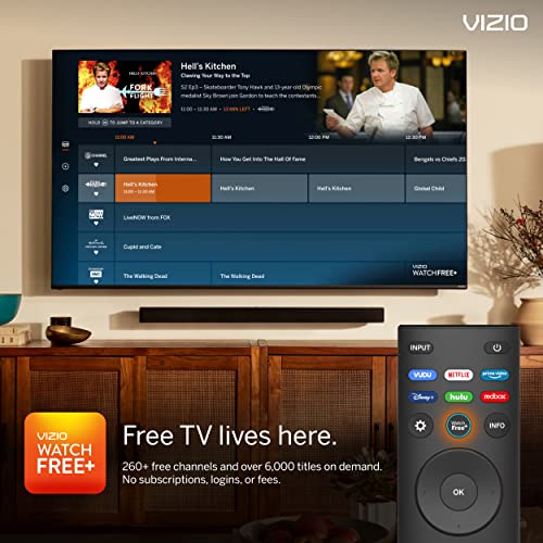 VIZIO 40-inch D-Series Full HD 1080p Smart TV with AMD FreeSync Apple AirPlay