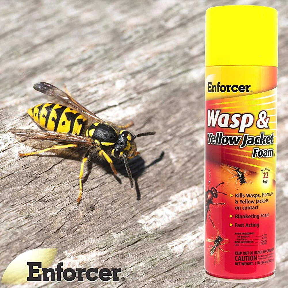 Enforcer Wasp & Yellow Jacket Foam Spray FWH16, 16 oz Can