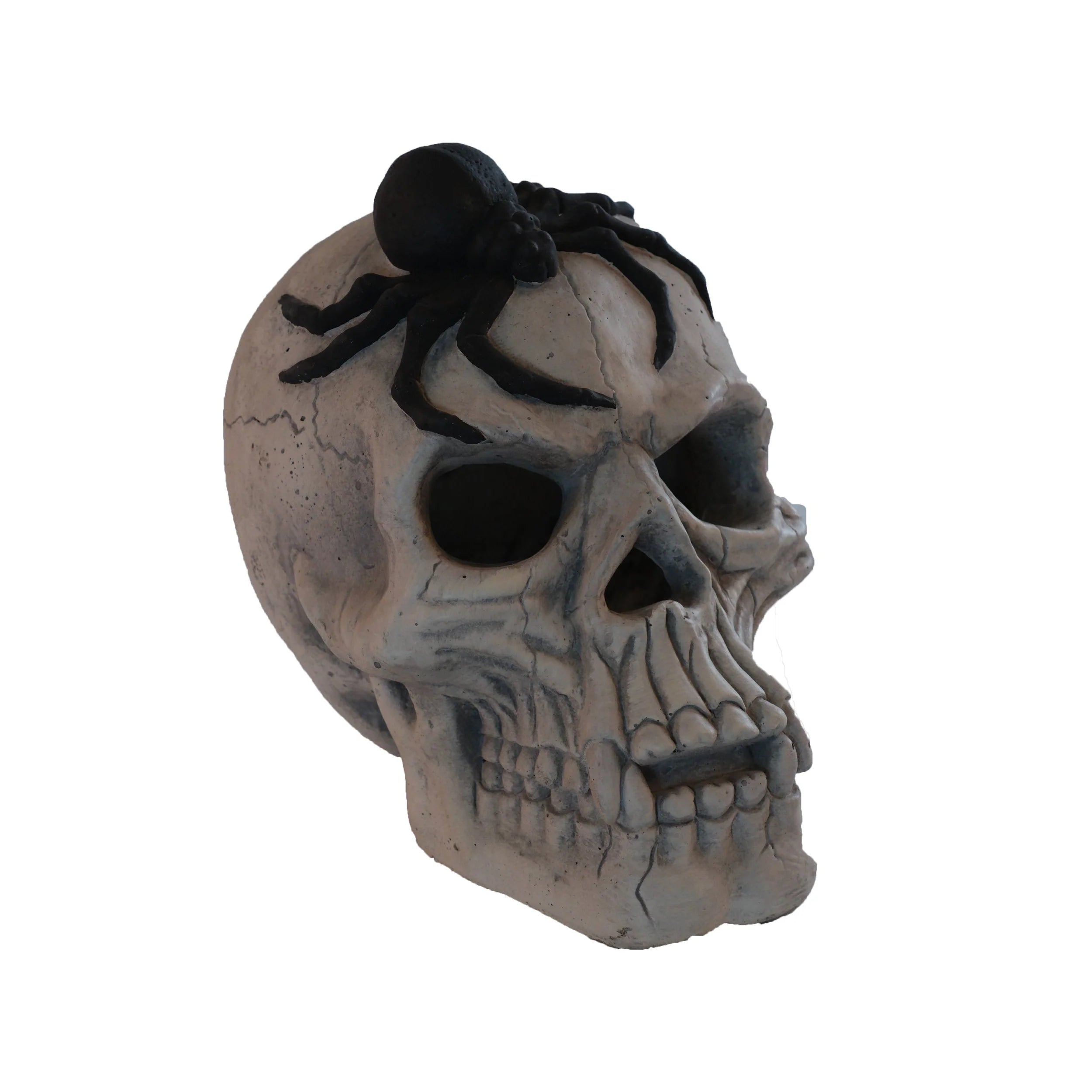 AECOJOY Demon Skull,Suitable for  Outdoor Fireplace and Fire Pit, Halloween Decoration