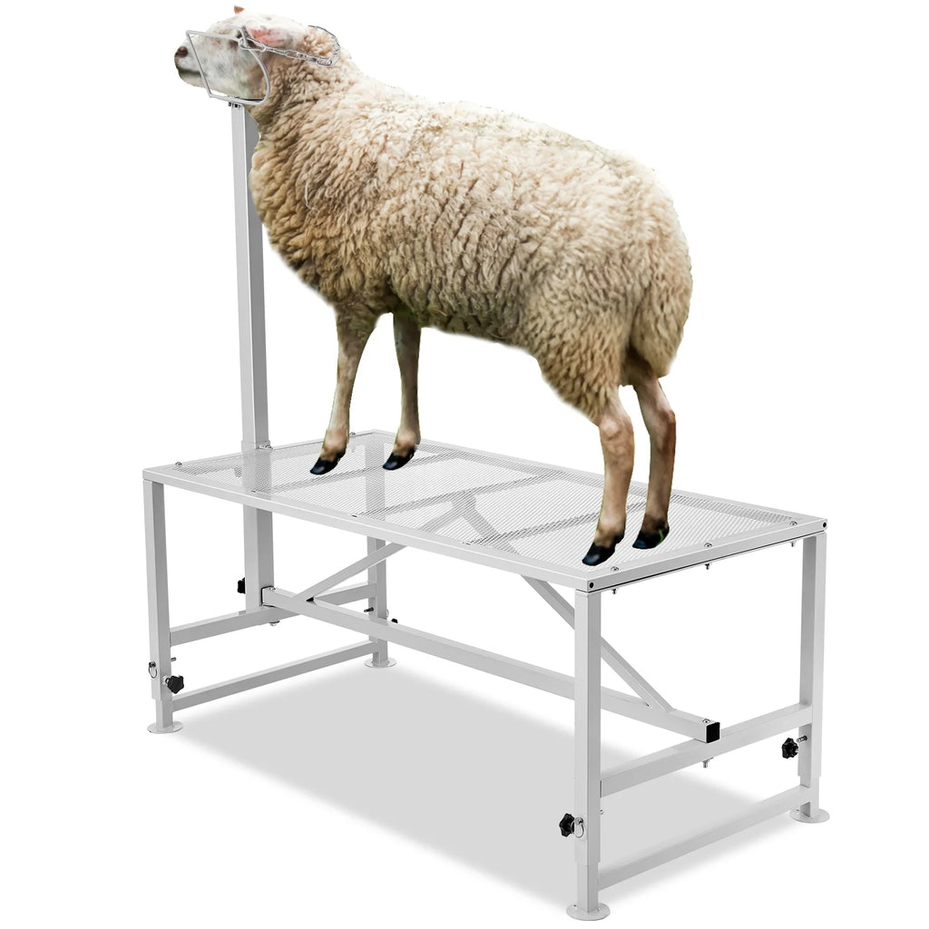 KFFKFF Livestock Stand for Goats and Sheep, 47x23 Inch, Durable Metal Frame for Milking and Shearing, Height Adjustable from 21" to 33"
