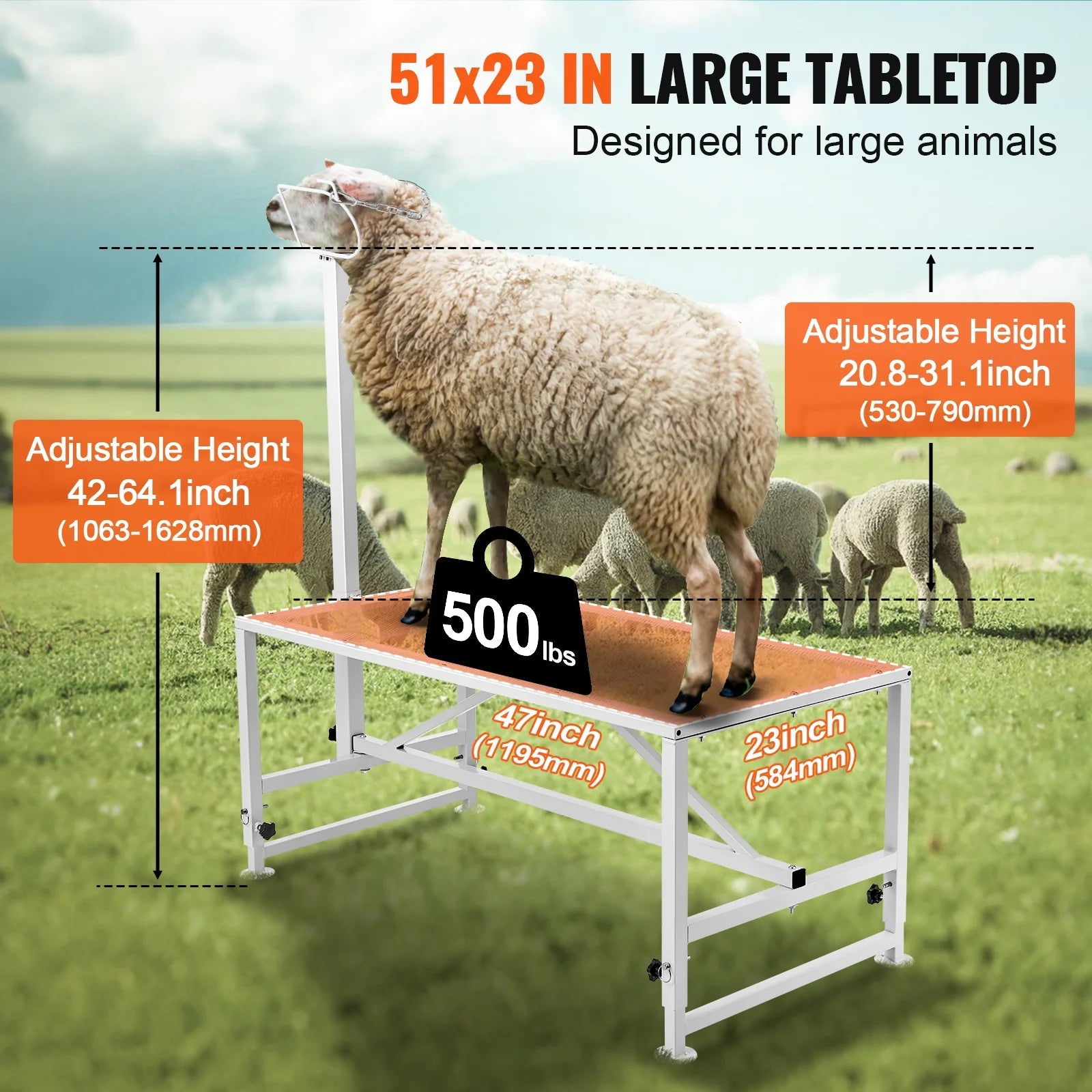 KFFKFF Livestock Stand for Goats and Sheep, 47x23 Inch, Durable Metal Frame for Milking and Shearing, Height Adjustable from 21" to 33"