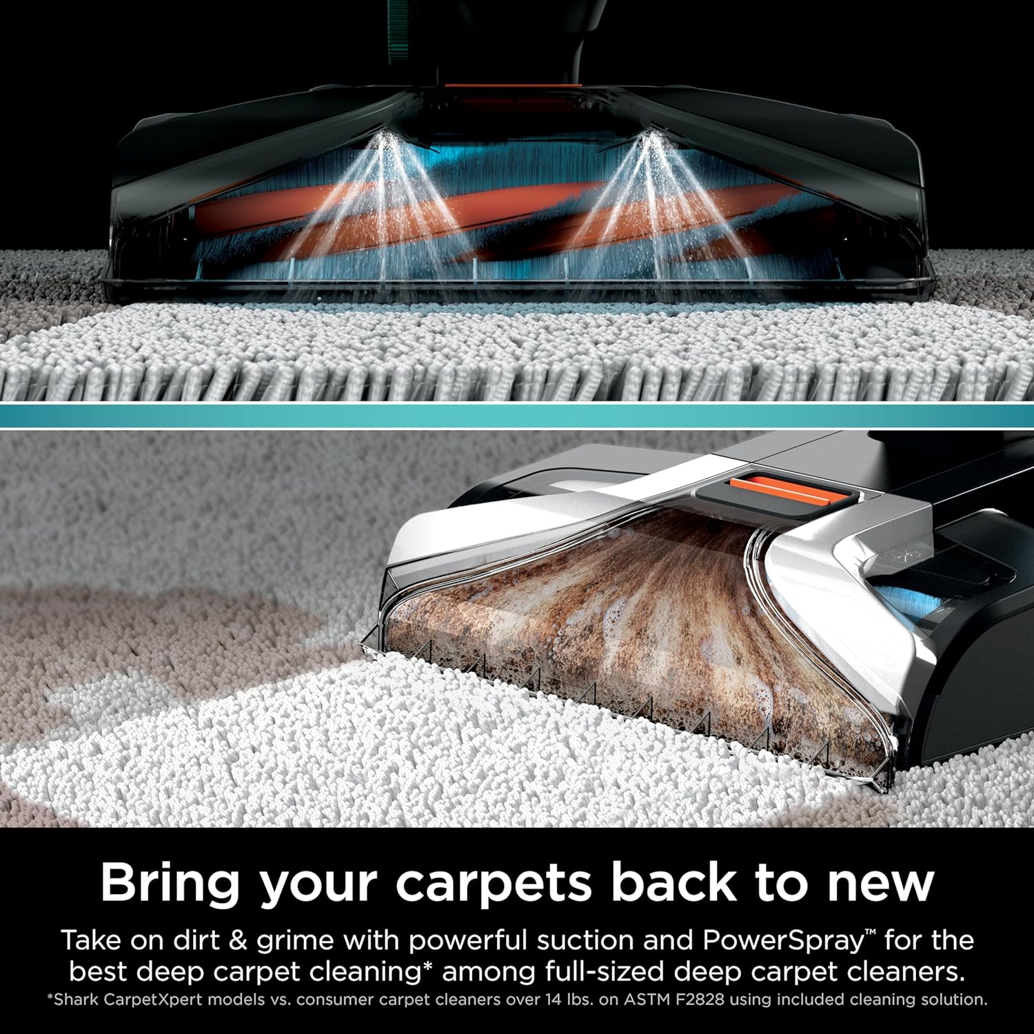 Shark CarpetXpert EX201 Carpet Cleaner, Cyan - Powerful Suction, StainStriker Tech, Pet Stain Removal, Includes Tools